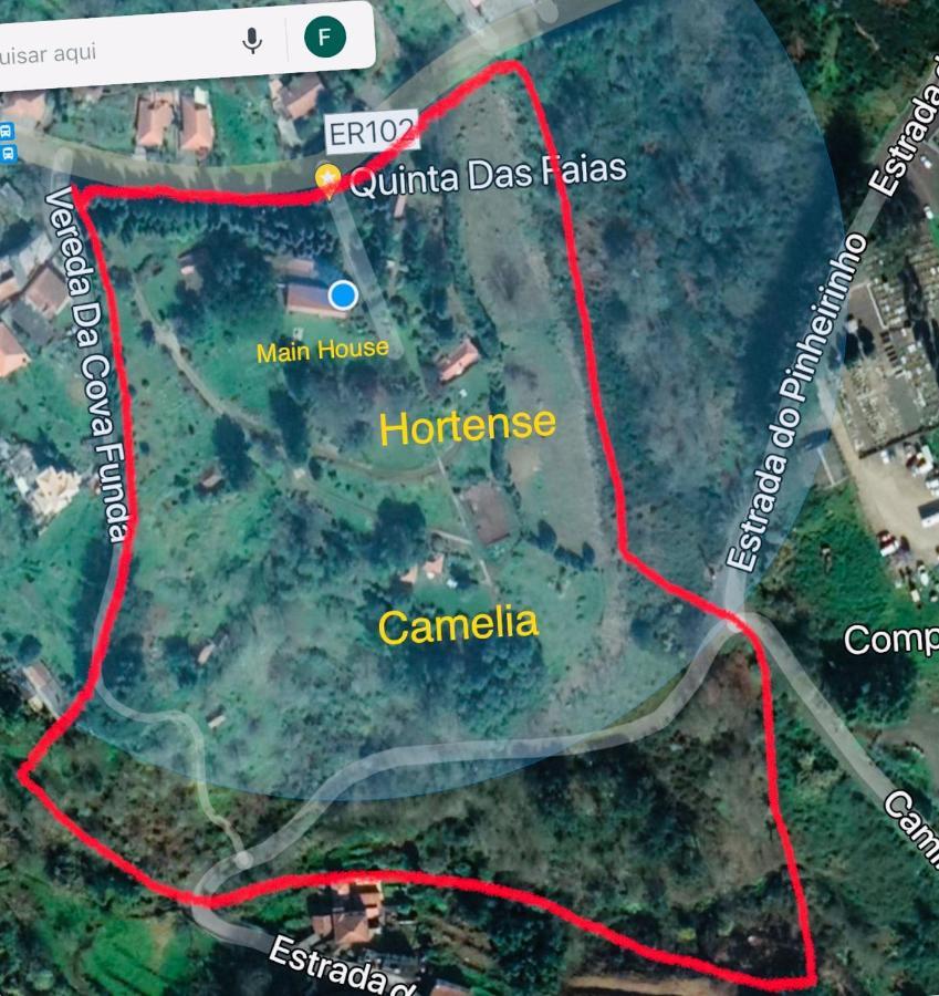 Quinta Das Faias Camacha  Exteriér fotografie