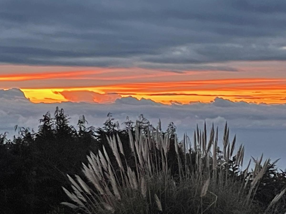 Quinta Das Faias Camacha  Exteriér fotografie