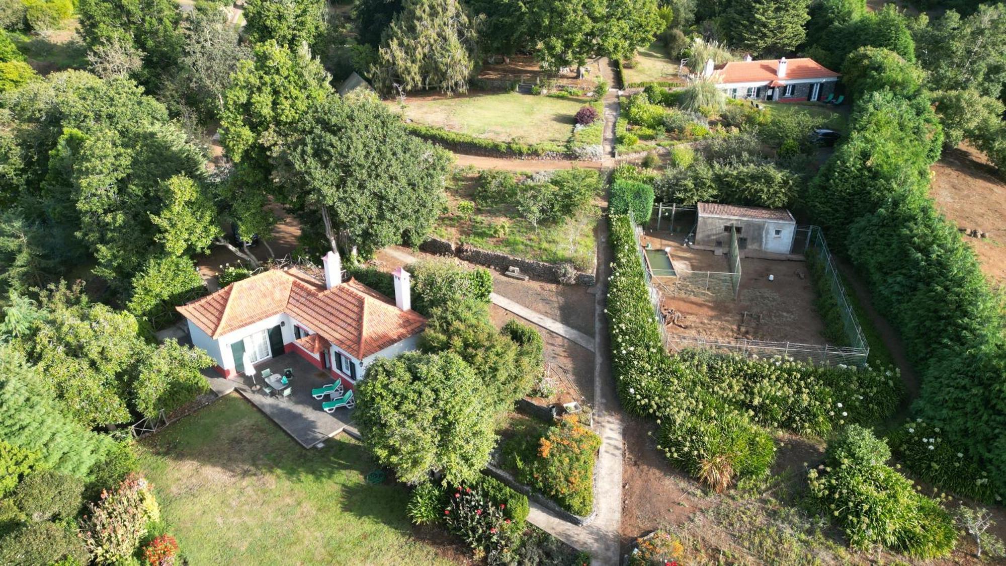 Quinta Das Faias Camacha  Pokoj fotografie
