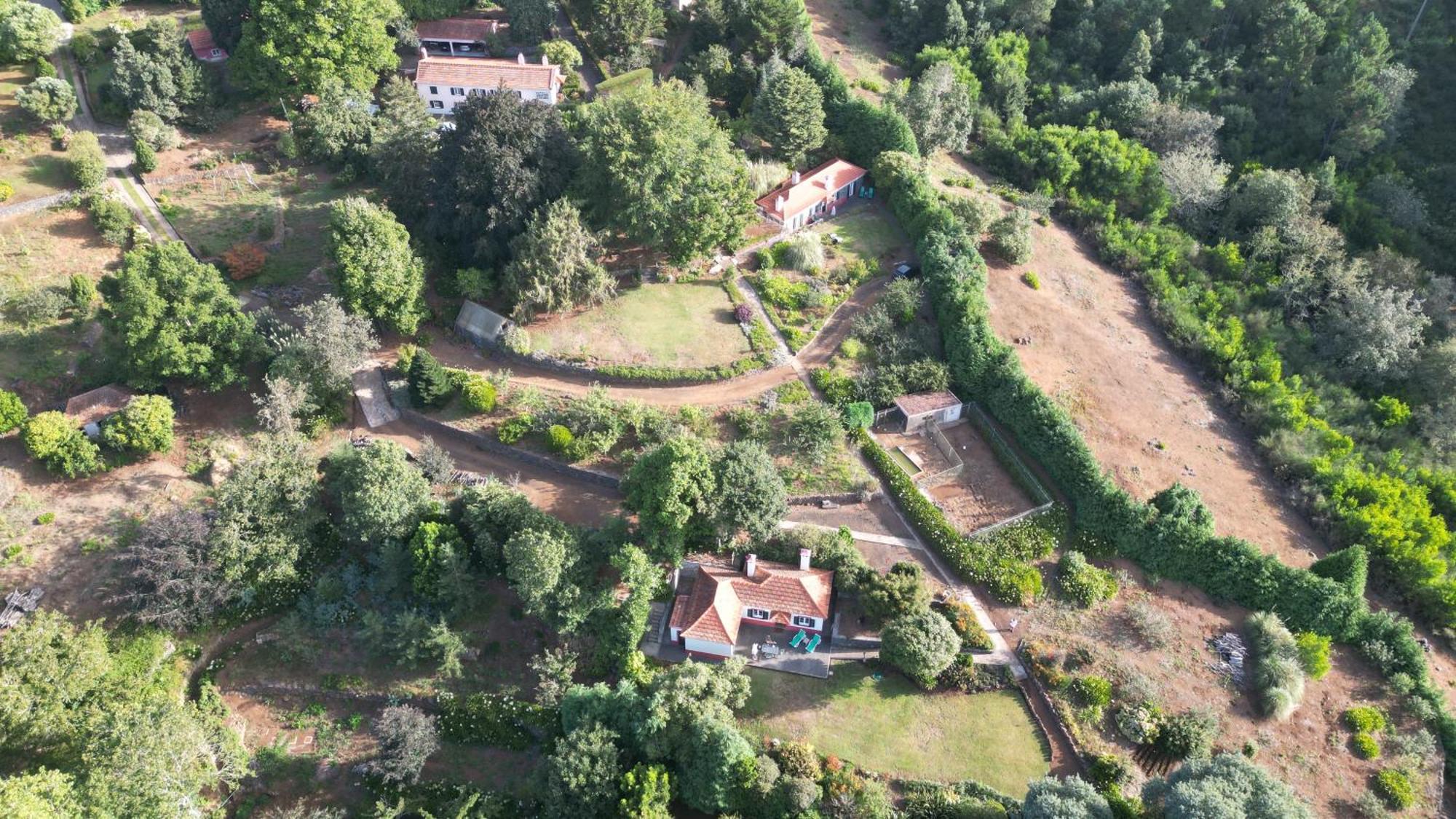 Quinta Das Faias Camacha  Exteriér fotografie