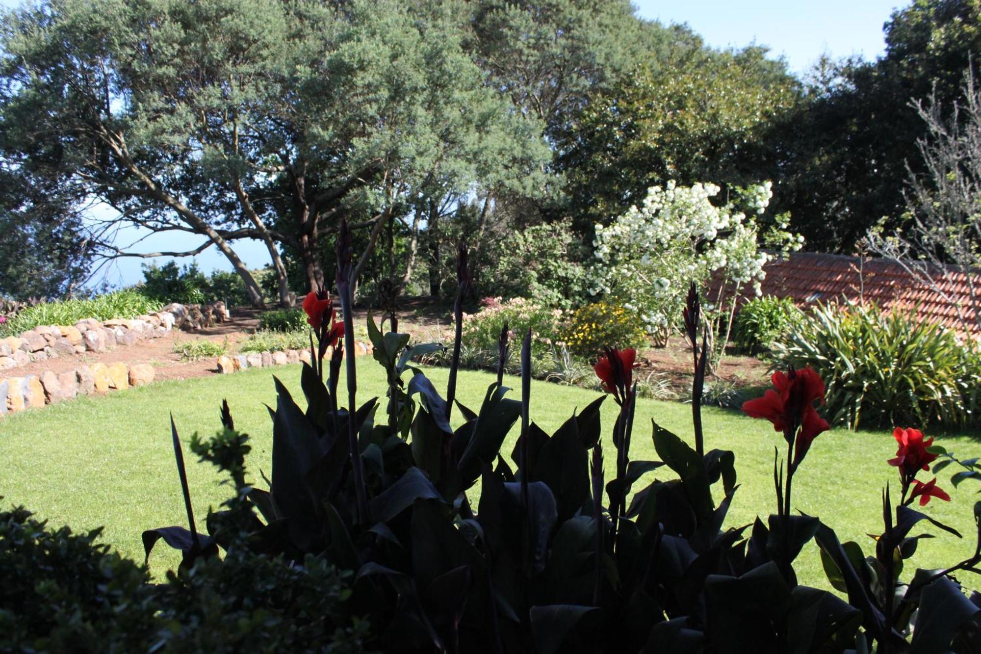 Quinta Das Faias Camacha  Pokoj fotografie