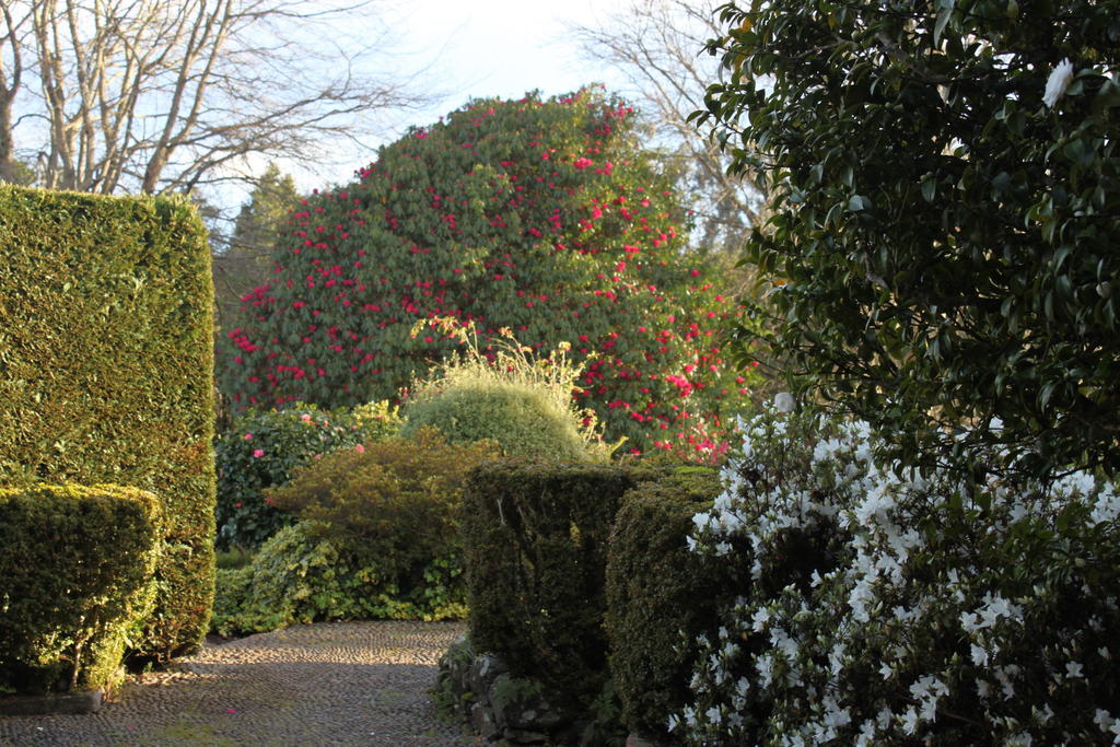Quinta Das Faias Camacha  Exteriér fotografie