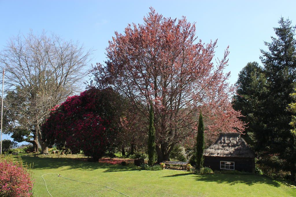 Quinta Das Faias Camacha  Exteriér fotografie