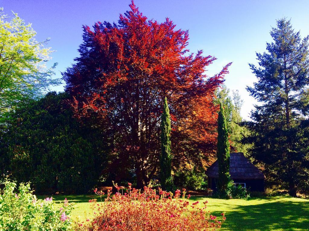 Quinta Das Faias Camacha  Exteriér fotografie