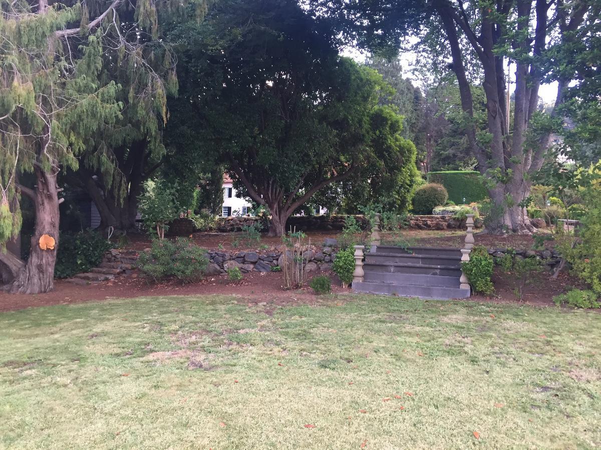 Quinta Das Faias Camacha  Exteriér fotografie