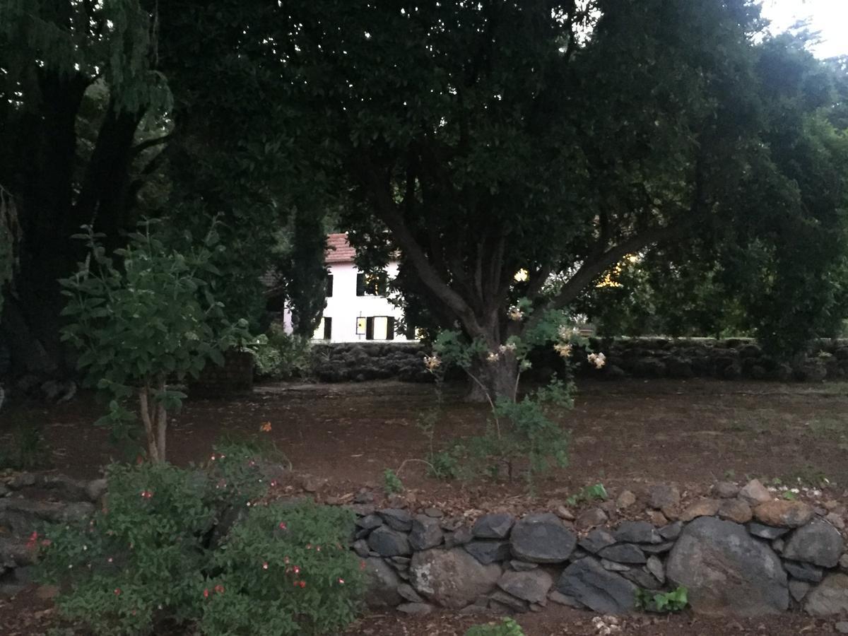 Quinta Das Faias Camacha  Exteriér fotografie