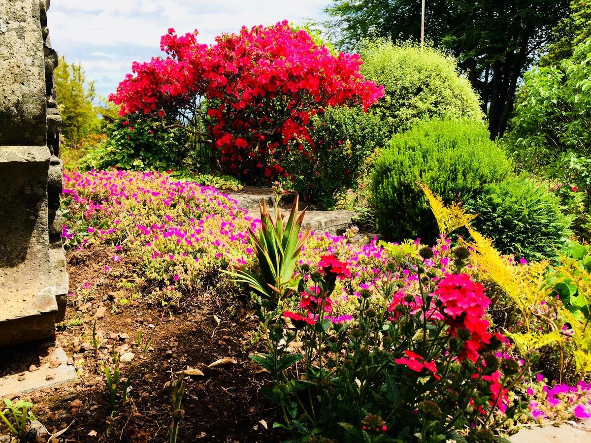 Quinta Das Faias Camacha  Exteriér fotografie